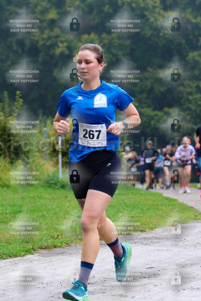 R6_ (199) | la-psv - Realisiert mit Pictrs.com