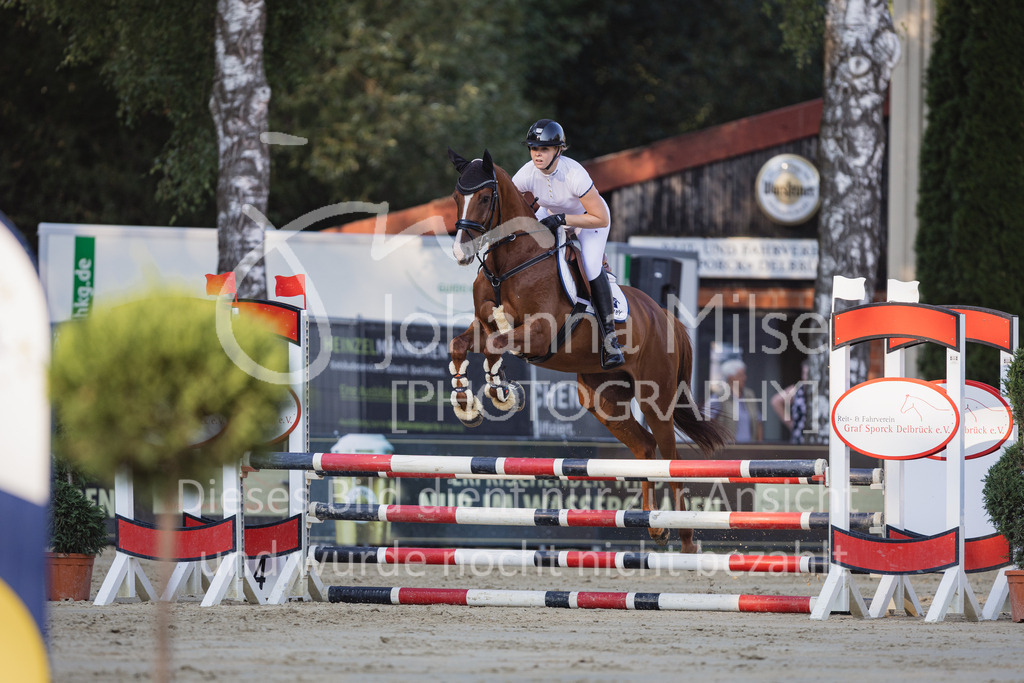 230823_Delbrueck_Stil-A1-157 | Deine schönsten Turniermomente als professionelle Fotos! Entdecke hochwertige Pferdesport-Fotografie im Online-Shop. Jetzt Fotos finden & bestellen!