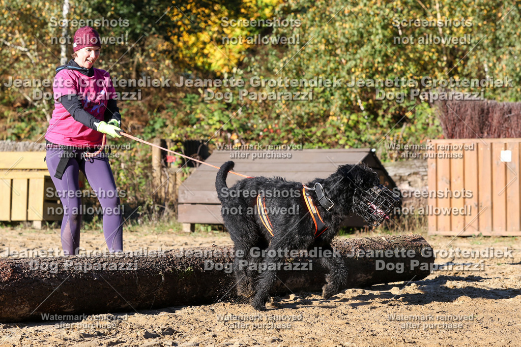 Dog Paparazzi - Strongdog 10-25-1656 | Dog Paparazzi Jeanette Grottendiek Fotografie & Videografie - Realisiert mit Pictrs.com