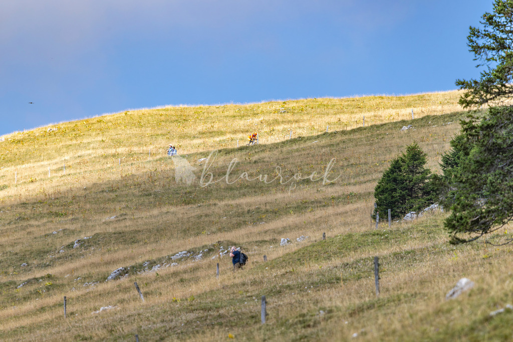 _01A5914 | Sportbilder, Sportfotograf, Hochzeits- und Eventfotografin, Flugshows, Portraits und Tiershooting, Aviation, Downhill, Nationalleague, Swissleague, International