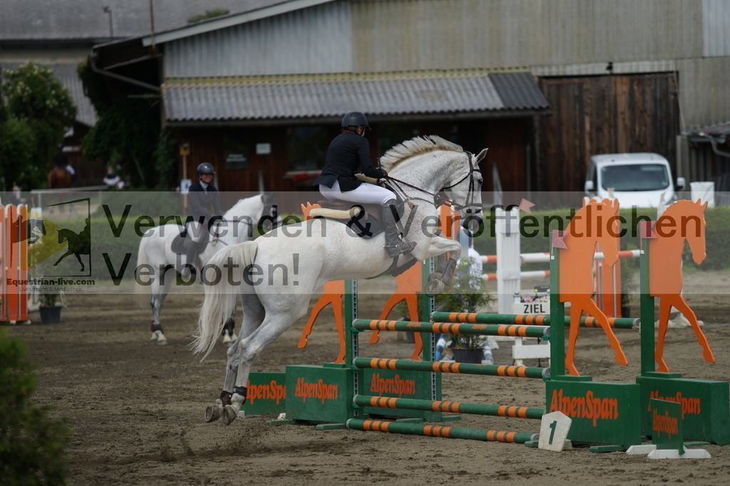 DSC05217 | equestrian-live-com