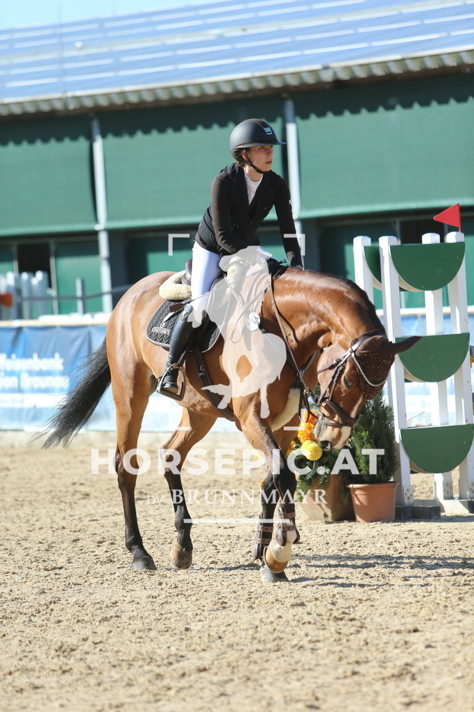 DL2Q1441 | Willkommen bei Brunnmayr - Design & Fotografie – Ihrem Spezialisten für Reitturniere und Pferdeveranstaltungen in Oberösterreich, Salzburg und Bayern! Seit über 17 Jahren sind wir leidenschaftlich dabei.