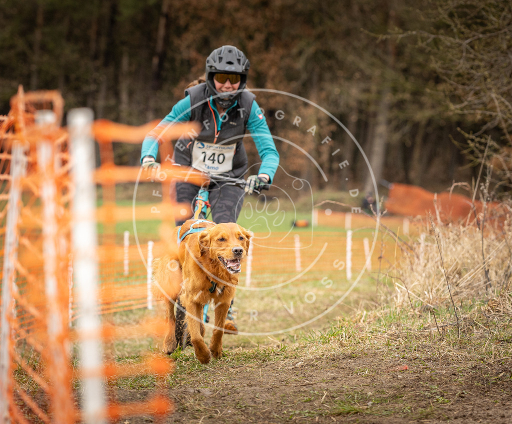 DV3A1579 | Hundefotografie, Tierfotograf, Pfotenfotografie, Fotoshooting Hund, Hunde Portrait, Hundesport, Hundeportraits, Heideshooting, Hunde, Sportfotograf, Hundefotograf, Turnierhundsport, THS,  - Realisiert mit Pictrs.com