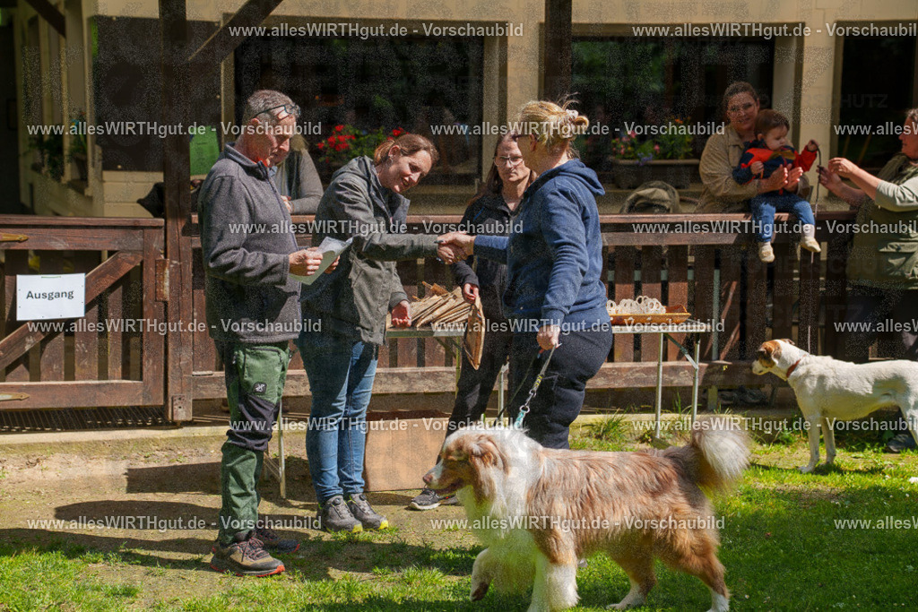 @allesWIRTHgut_Tierfotografie - www.allesWIRTHgut.de - 7R506095 | Professionelle Tierfotografie in Mönchengladbach von Daniel Wirth (allesWIRTHgut). Liebevolle & natürliche Bilder von Hunden & Katzen für unvergessliche Erinnerungen.