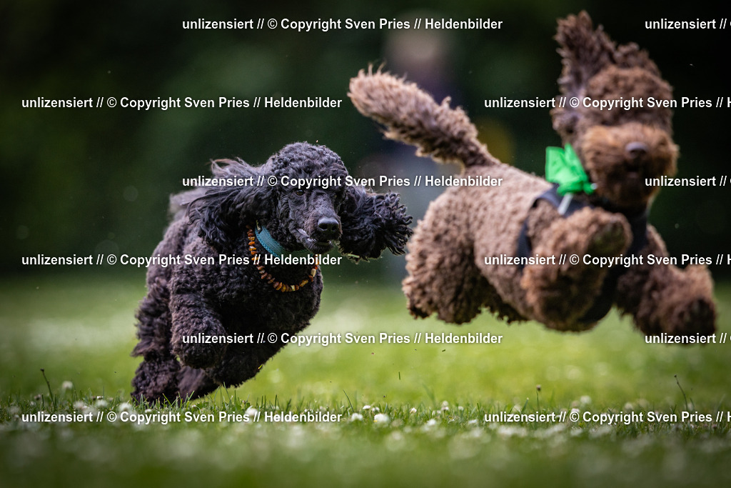 Sven Pries | 2025-05-29 - Pudelrennen KA-Durlach - Realisiert mit Pictrs.com