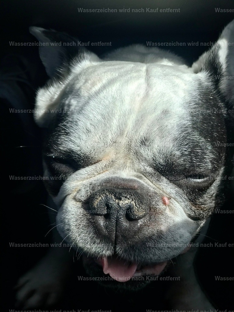 IMG_9362 | heikomoeller - Realisiert mit Pictrs.com