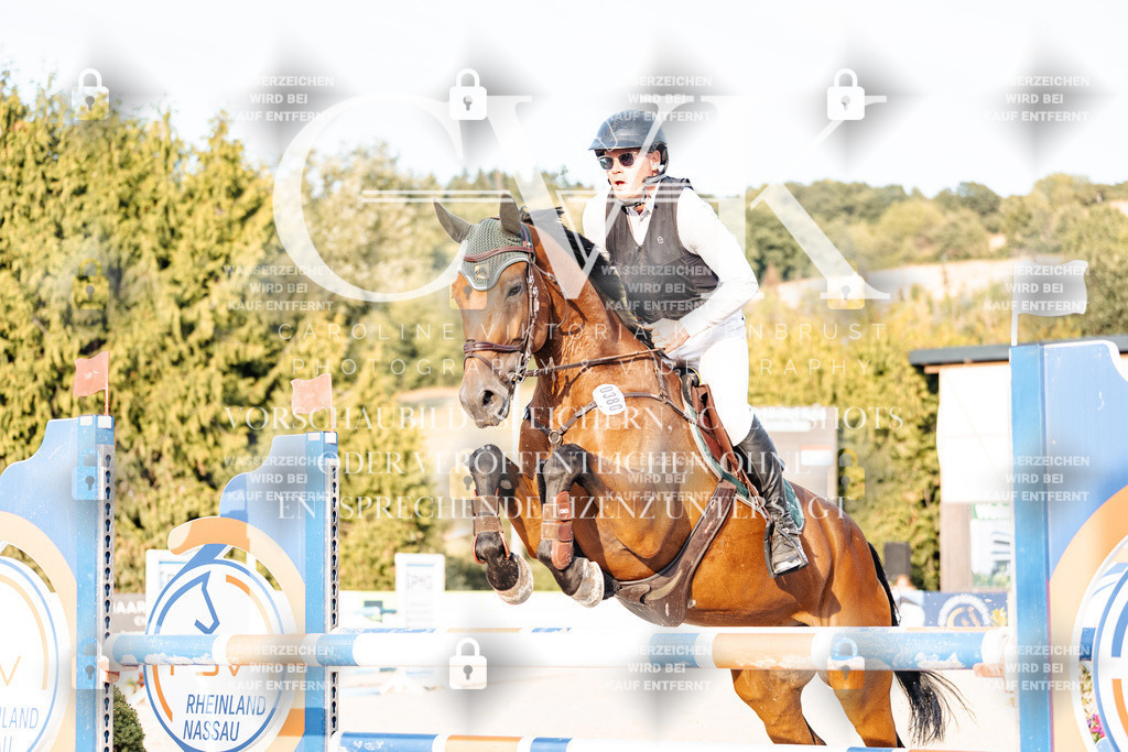 CK903577 | Turnierfotografie Pferdefotografie Trier Rheinland-Pfalz Pferdesport Reitsport Tierfotografie Sportfotografie Pferdevideo Pferdevideografie Equestrianvideography equestrianphotography  - Realisiert mit Pictrs.com
