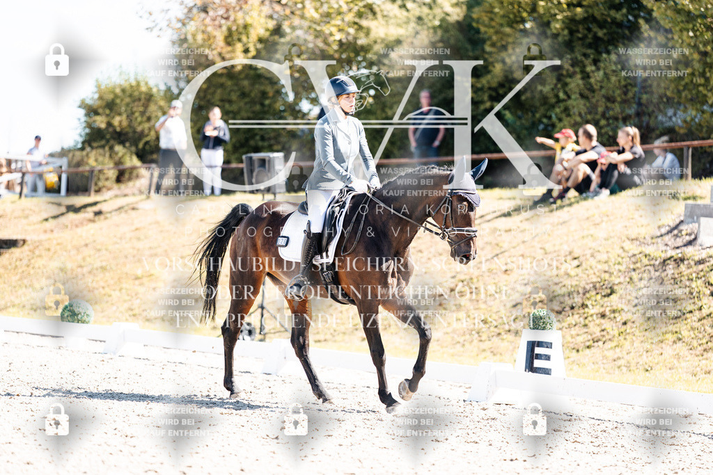 CK909816 | Turnierfotografie Pferdefotografie Trier Rheinland-Pfalz Pferdesport Reitsport Tierfotografie Sportfotografie Pferdevideo Pferdevideografie Equestrianvideography equestrianphotography  - Realisiert mit Pictrs.com