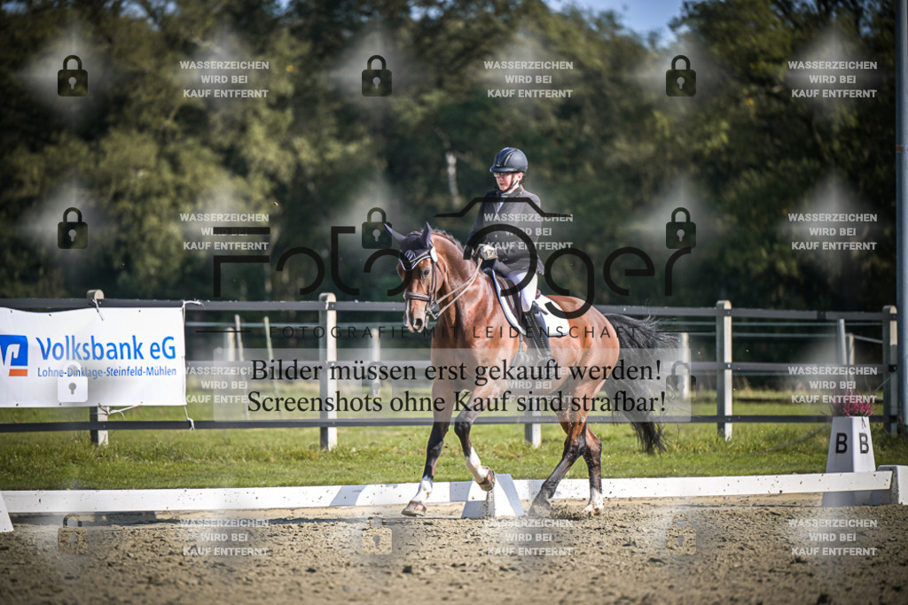 DOS_1134 | Entdecke hochwertige Reitturnierfotos von Foto Oger. Professionell, emotional und authentisch – jetzt Lieblingsmomente im Shop bestellen.Deutschlandweite Turnierfotografie. - Realisiert mit Pictrs.com