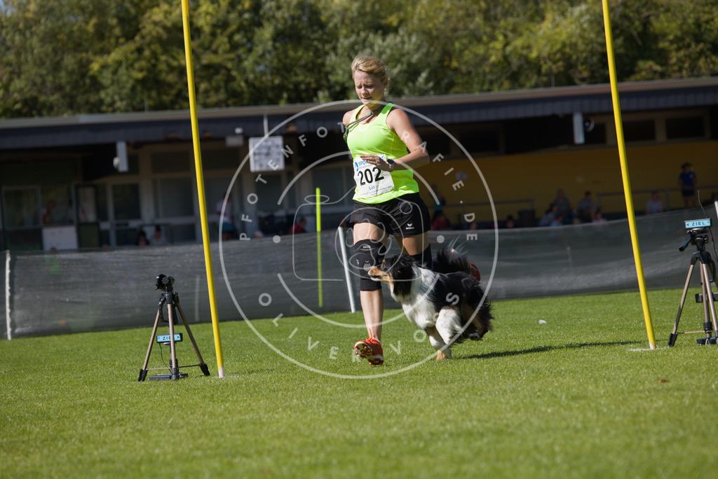 0L8A5804 | Hundefotografie, Tierfotograf, Pfotenfotografie, Fotoshooting Hund, Hunde Portrait, Hundesport, Hundeportraits, Heideshooting, Hunde, Sportfotograf, Hundefotograf, Turnierhundsport, THS,  - Realisiert mit Pictrs.com