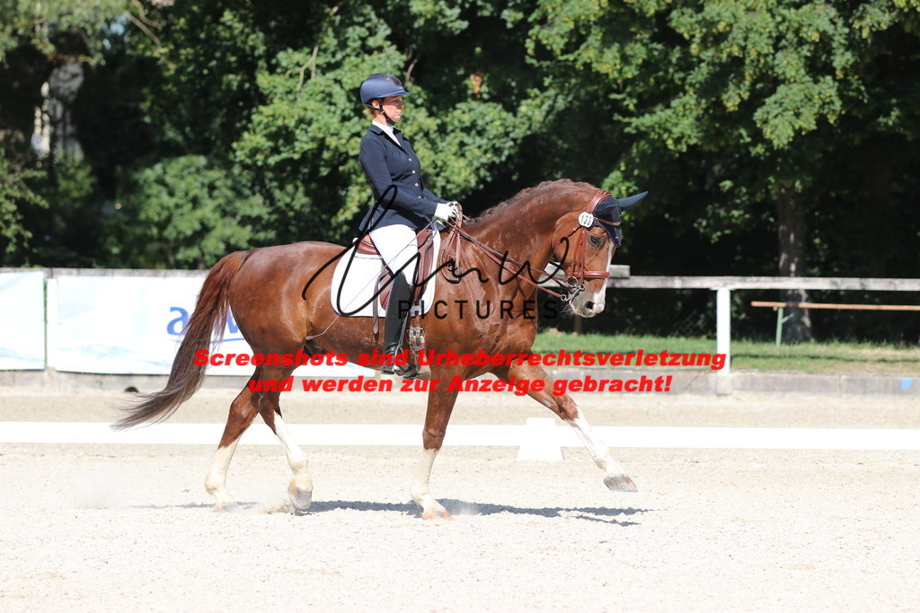 IMG_5403 | lmwpictures - Realisiert mit Pictrs.com