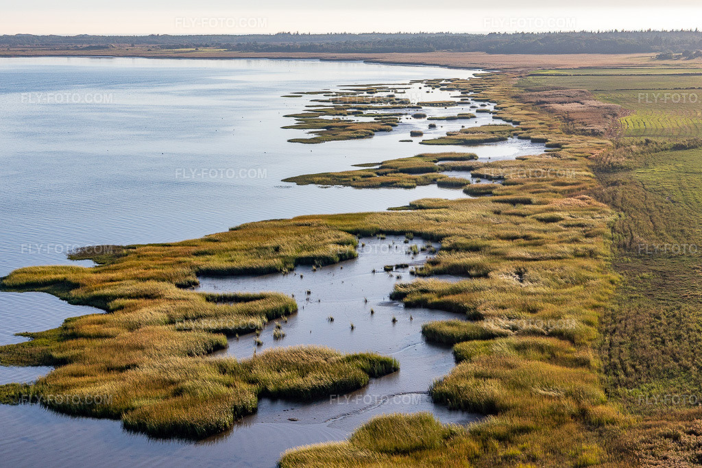 Aerial view: Coast at high tide in the Wadden Sea National Park on the North Sea in Fanø in Fanø in the state South Denmark, Denmark.Photo: IMG_118870.jpg taken on 09/21/2019 by Werner Riehm/FLY-FOTO.comResolution of the original: 5377 x 3584 px