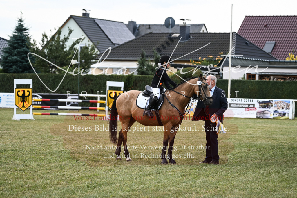 DSC_5759 | Pferde- und Turnierfotografie in Westsachsen. Pferdeportraits, Auftragszeichnungen und intuitive Kunst.