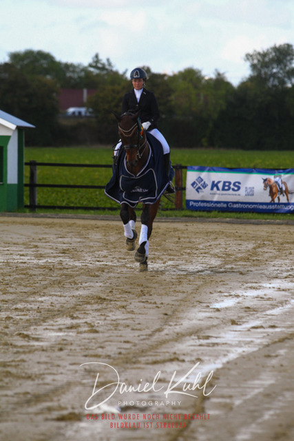 DKP45376 | Turniersportfotografie; Pferdefotografie; Dressurfotografie