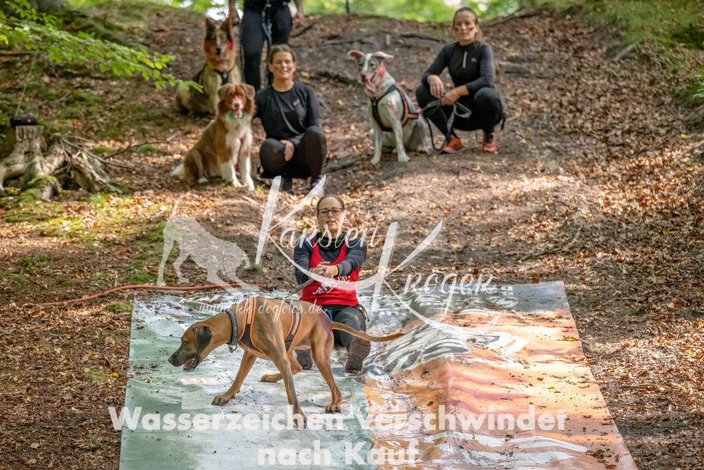 1148_ZZ92425-Bearbeitet | kk-dogfotos