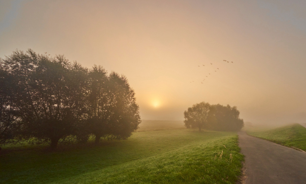 Frühmorgens am Deich mit Vogelkeil | Fotos als Raumschmuck - Realisiert mit Pictrs.com