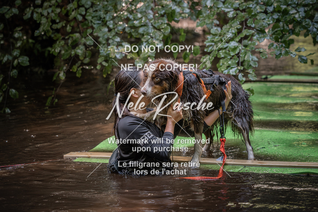 nelerasche_Wingst_Sa1330-1400_228 | nelerasche