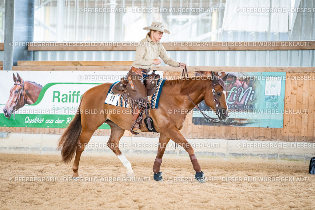 DSC07452 | Pferdegrafie