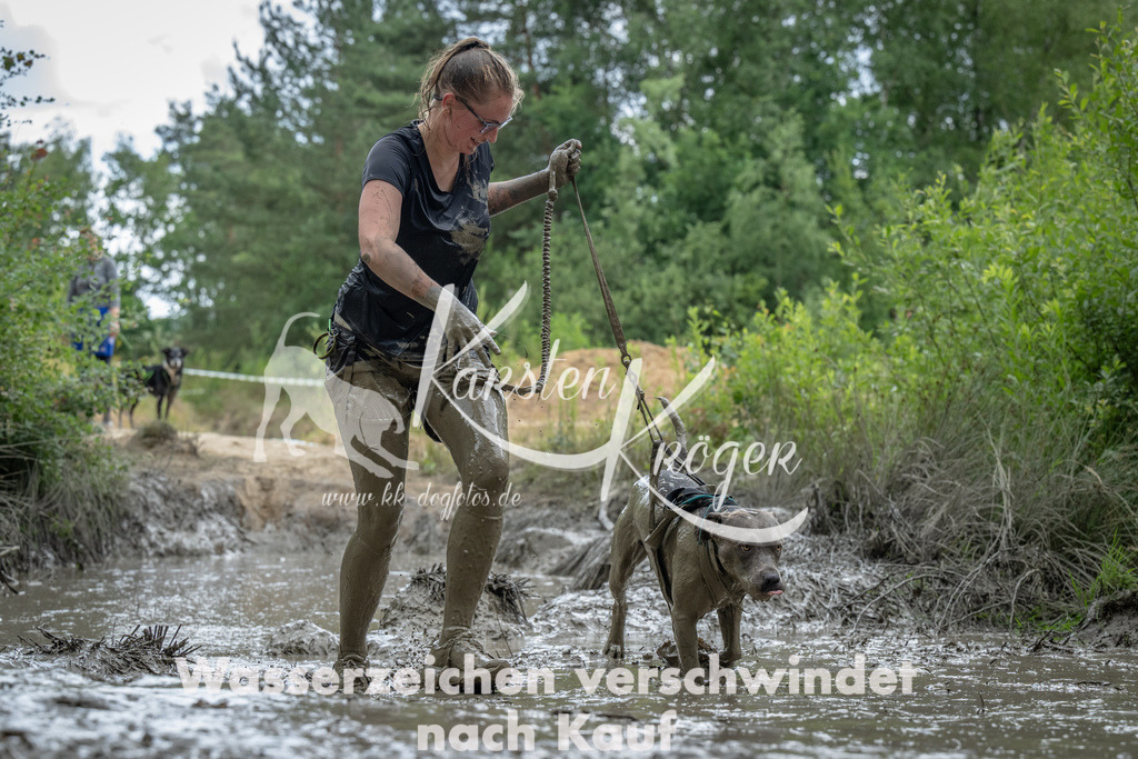 1447_ZZ90410 | kk-dogfotos