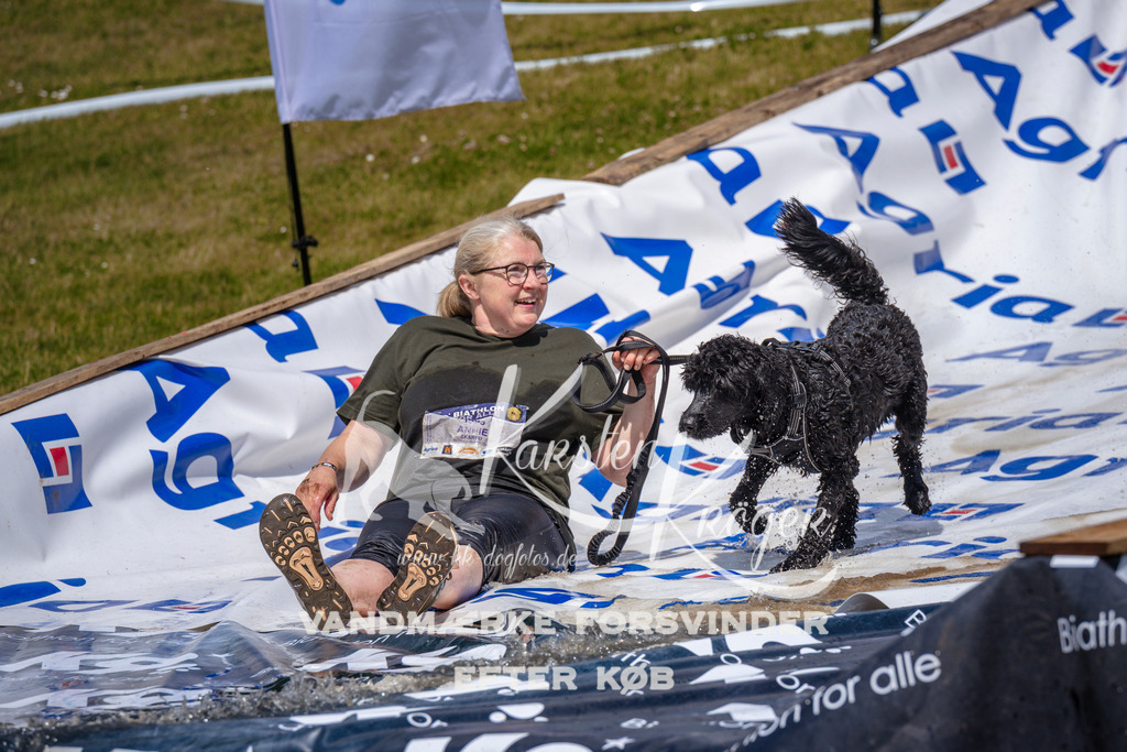 _ZZ979311034 | kk-dogfotos