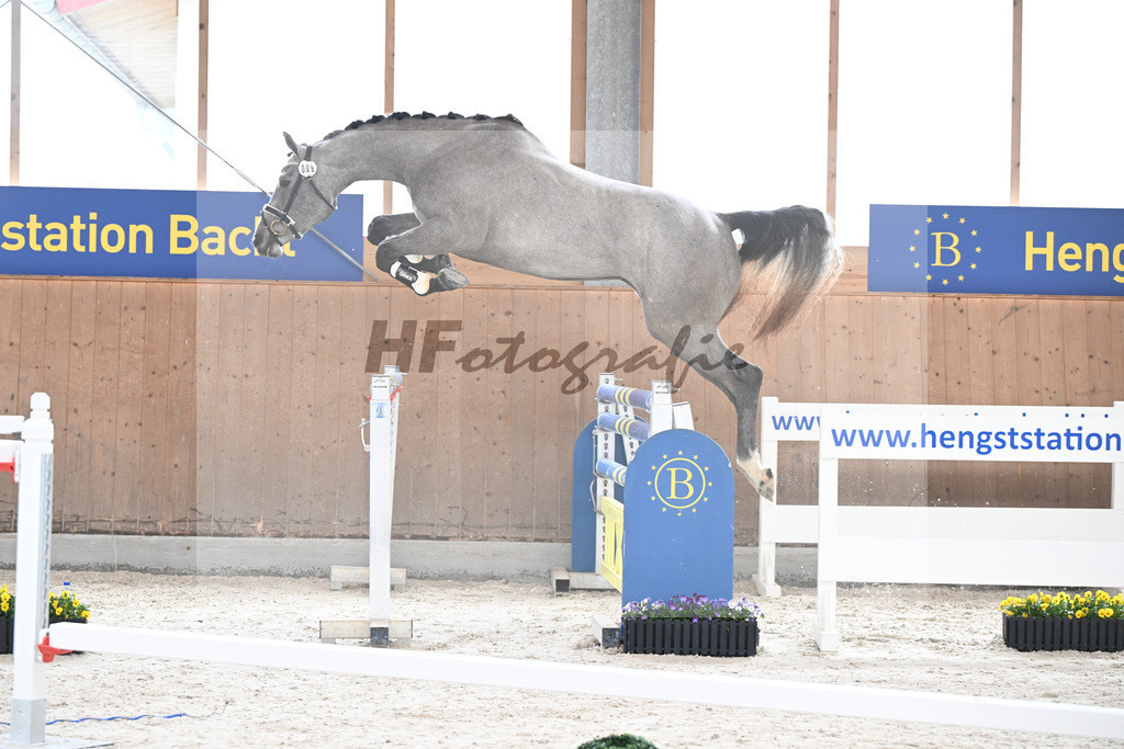 Kat-Nr. 9 nn v. Vingino_Schindele_5250246 | hf-fotografie - Realisiert mit Pictrs.com