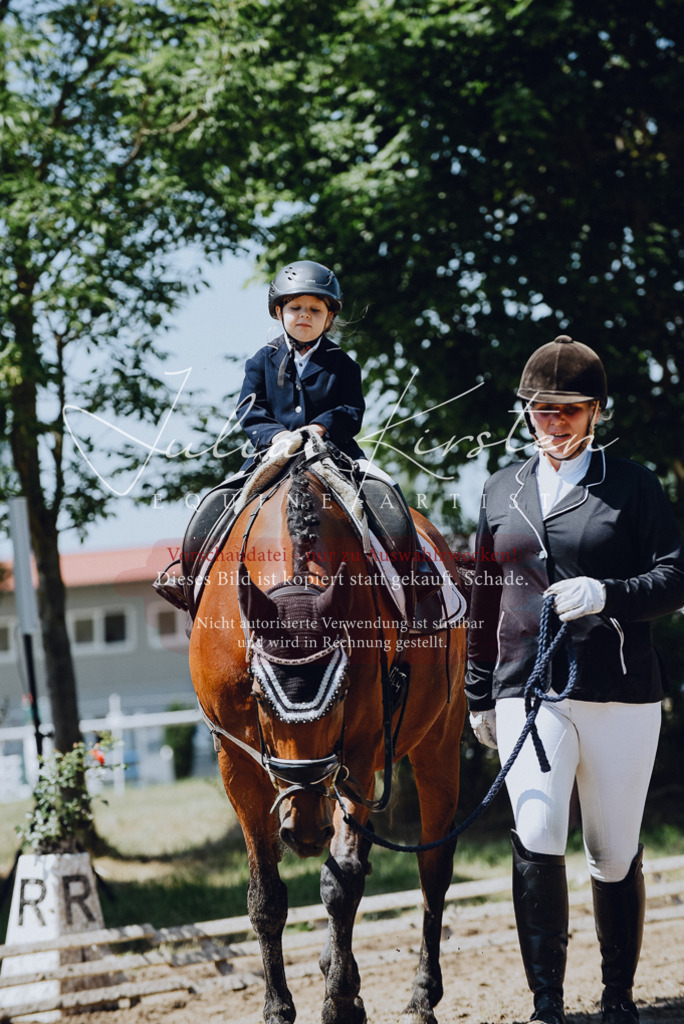 DSC_2519 | Pferde- und Turnierfotografie in Westsachsen. Pferdeportraits, Auftragszeichnungen und intuitive Kunst.