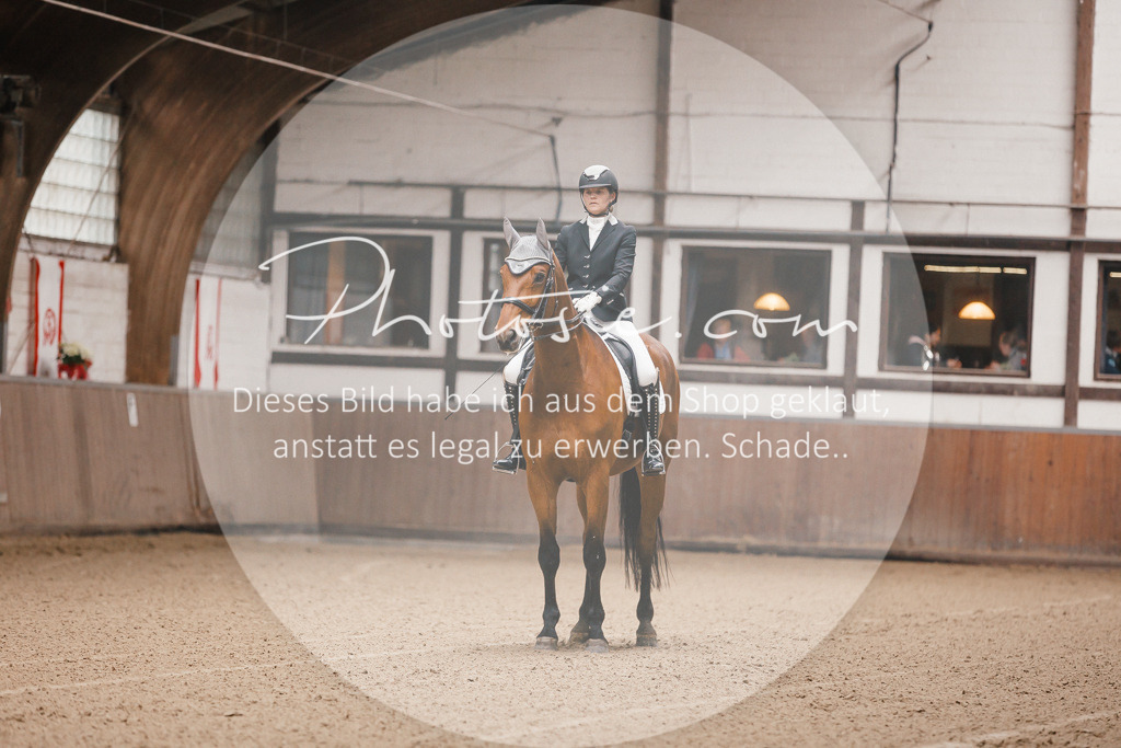 3I6A8087 | Stimmungsvolle Portraits und Reitsportfotografie im Ruhrgebiet und im Münsterland.

Pferdefotografie, Hundefotografie, Tierfotografie, Reportagen, Portraits von Tier und Mensch, Turnierfotografie in Bochum, Recklinghausen, Marl, Haltern am See, Dülmen.. - Realisiert mit Pictrs.com