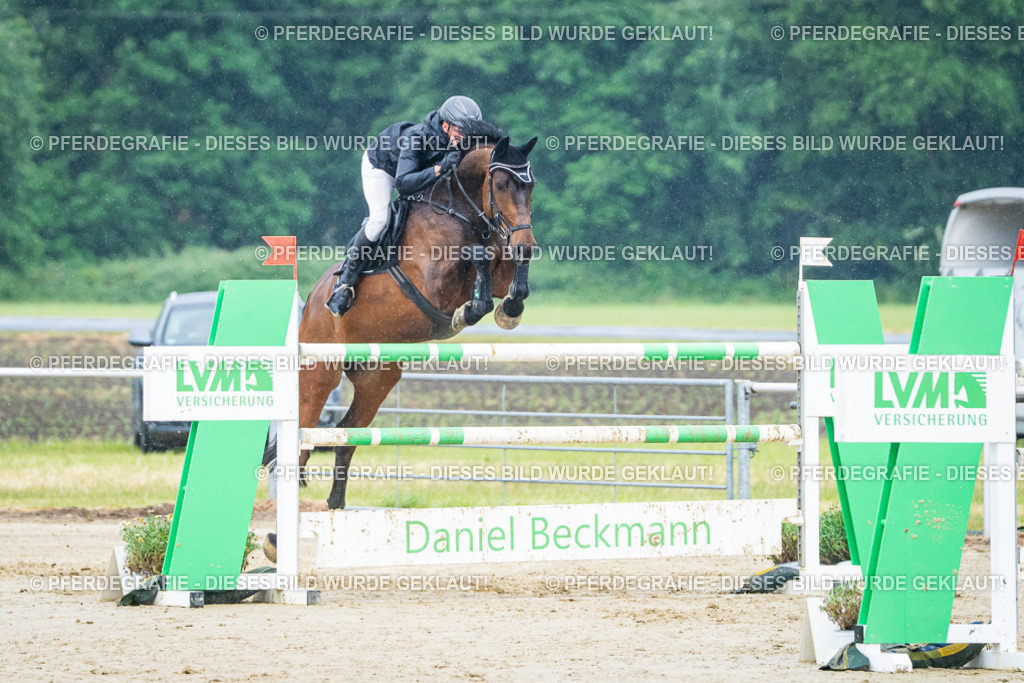 DSC00107 | Pferdegrafie