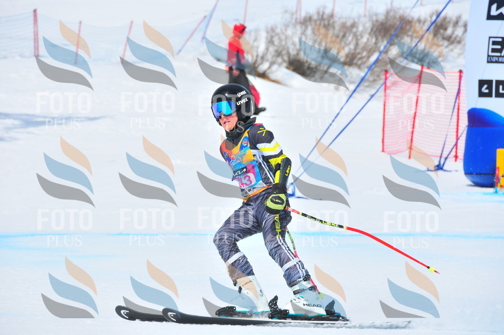 DSC_6016 | holidayphoto