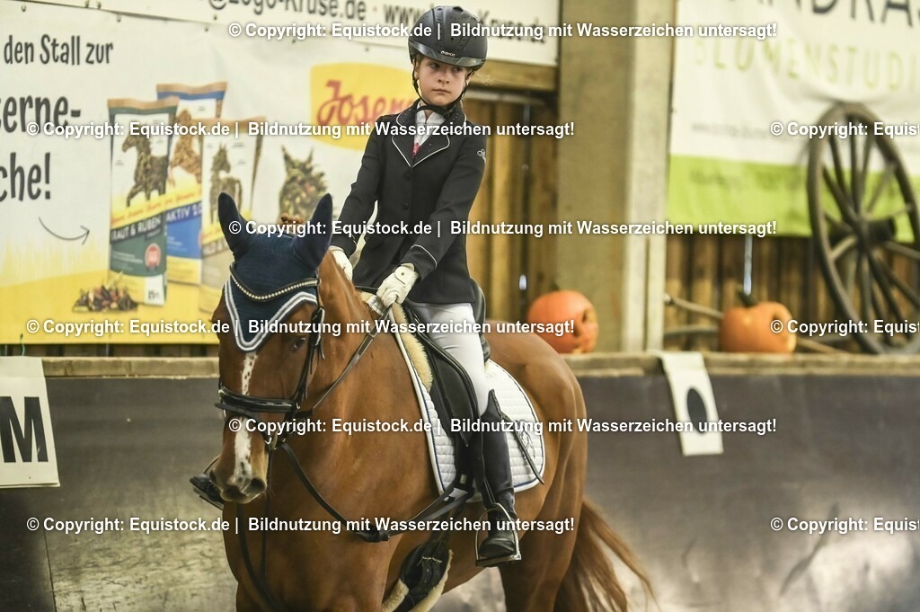 20231029_02_Reiter-WB_Schritt-Trab_Abteilung-01_0010 | Foto: Thomas Hartig