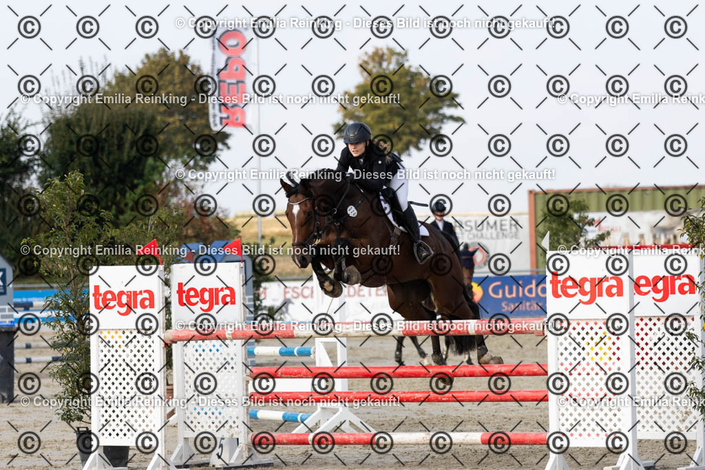 CL5A5201 | Emilia Reinking Fotografie - Realisiert mit Pictrs.com