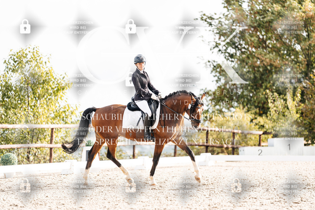 CK900918 | Turnierfotografie Pferdefotografie Trier Rheinland-Pfalz Pferdesport Reitsport Tierfotografie Sportfotografie Pferdevideo Pferdevideografie Equestrianvideography equestrianphotography  - Realisiert mit Pictrs.com