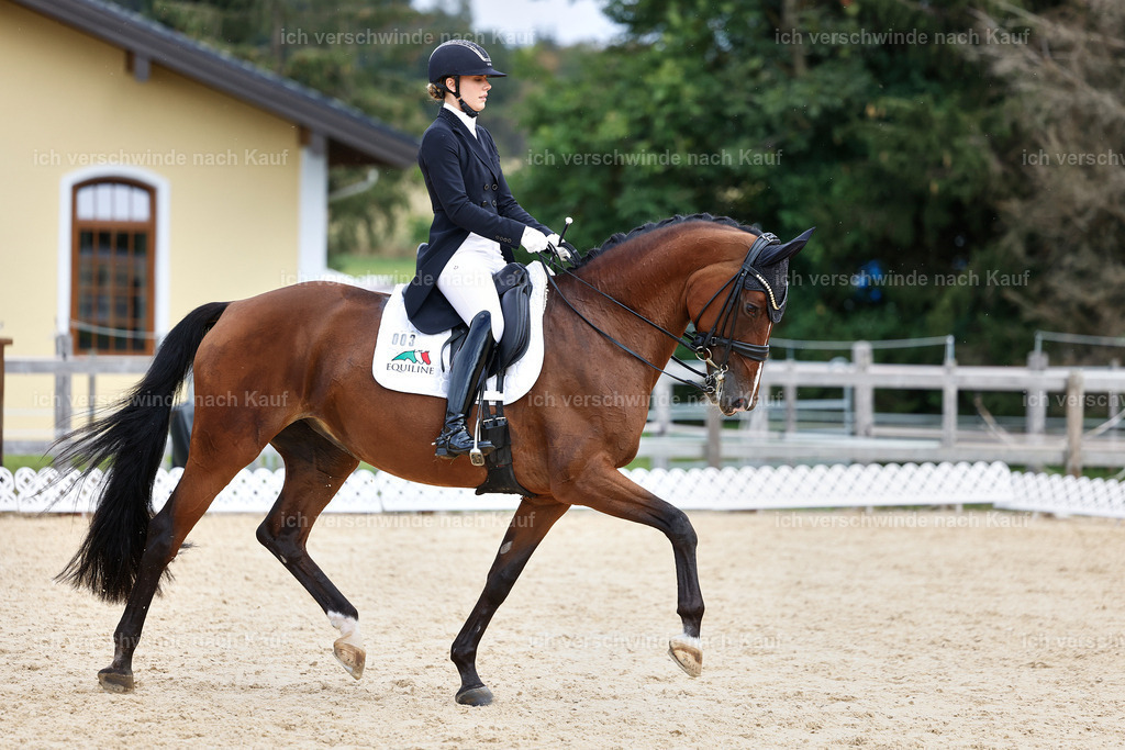 11-003-Dressur S___-StoibPH-1045 | working equitationturnier fotograf videograf stoibphotography marixx film working equitation deutschland reitsport turnierfotografie eventfotografie equestrian events