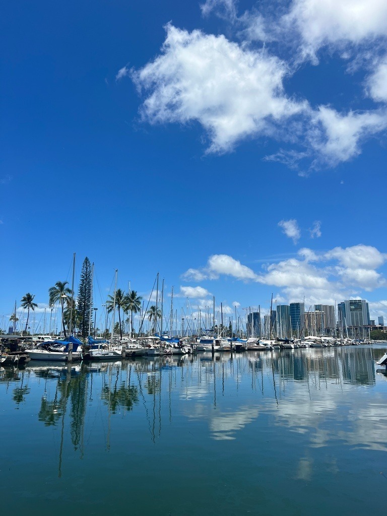 IMG_7806 | ace - Realisiert mit Pictrs.com