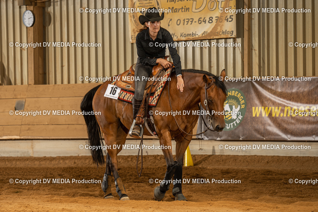 NID02026 | dv-media-shop - Realisiert mit Pictrs.com