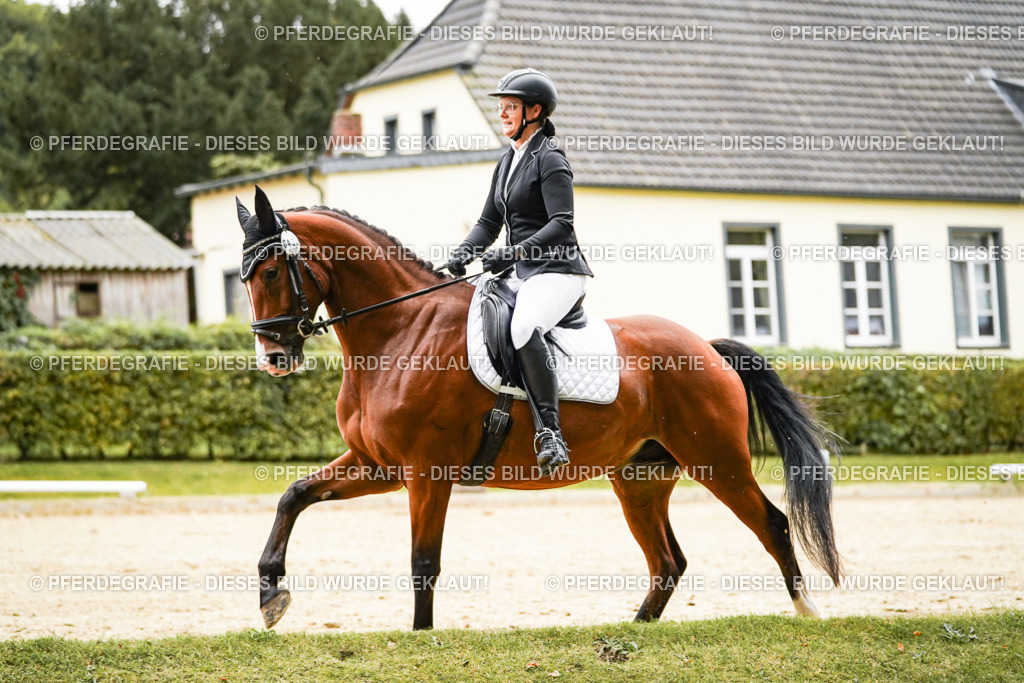 DSC07169 | Pferdegrafie