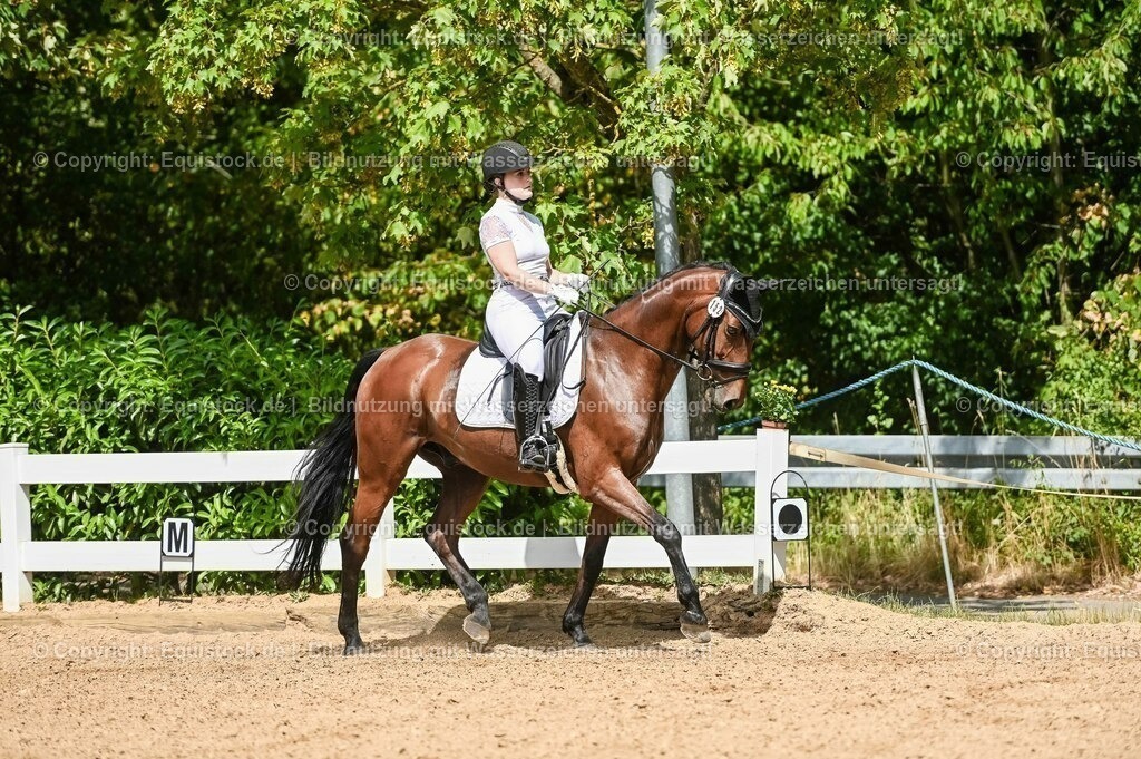 20230715_02_Dressurreiterprüfung Kl.L_0195 | equistock