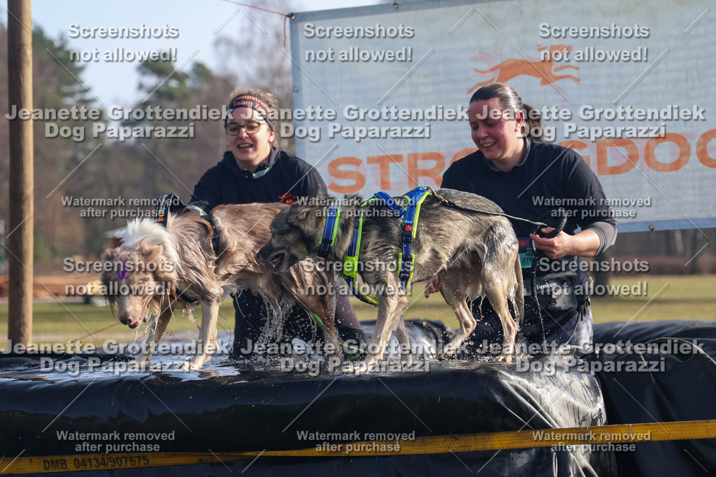 Dog Paparazzi - Strongdog North Mrz26-744 | Dog Paparazzi Jeanette Grottendiek Fotografie & Videografie - Realisiert mit Pictrs.com