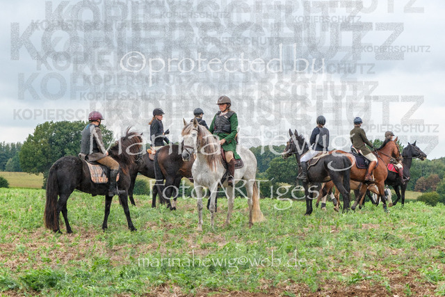 Jagd Perdoel_MarinaHewigDSCF3844 | Fotografie, FotoArt, PferdesportArt, Pferdesportfotografie, Landschaftsfotografie, Reisefotografie, Reise, Pferde - Realisiert mit Pictrs.com