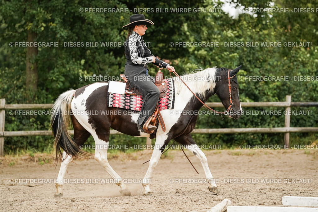 DSC08477 | Pferdegrafie