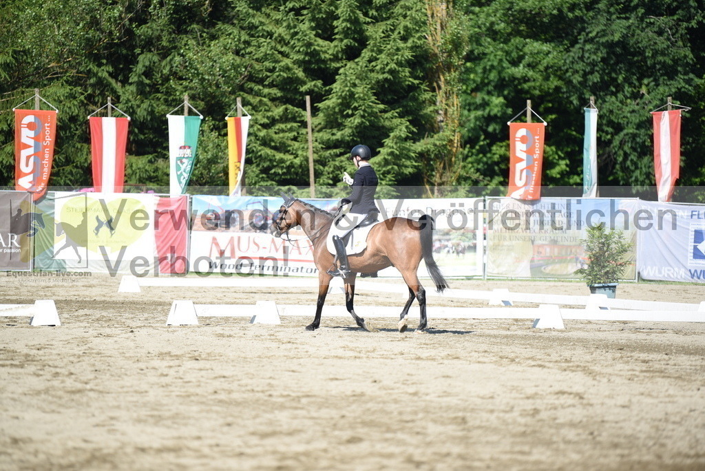 DSC_7674 | equestrian-live-com
