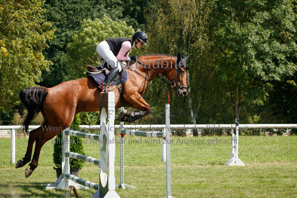 IMG_3533 | P. Berger Fotografie - Realisiert mit Pictrs.com