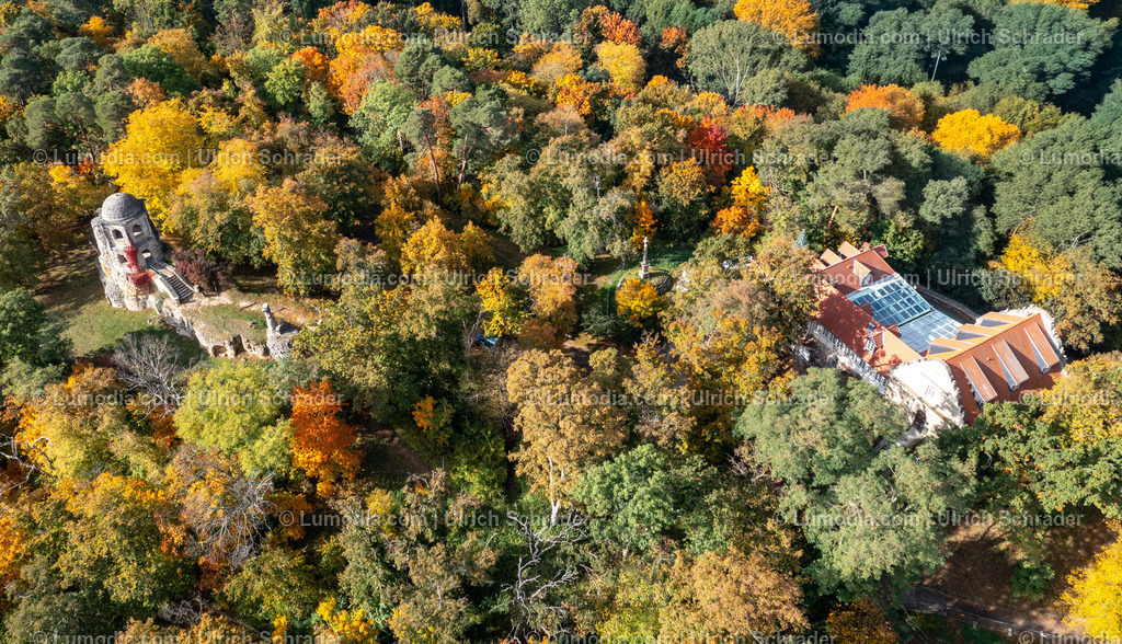 10049-52150 - Herbststimmung in den Spiegelsbergen | Stockfoto und Bilderpool mit Bildmaterial aus Deutschland, dem Harz, Halberstadt, Quedlinburg, Wernigerode und weltweit. Qualitativ hochwertige und professionelle Fotos anschauen und kaufen. - Realisiert mit Pictrs.com