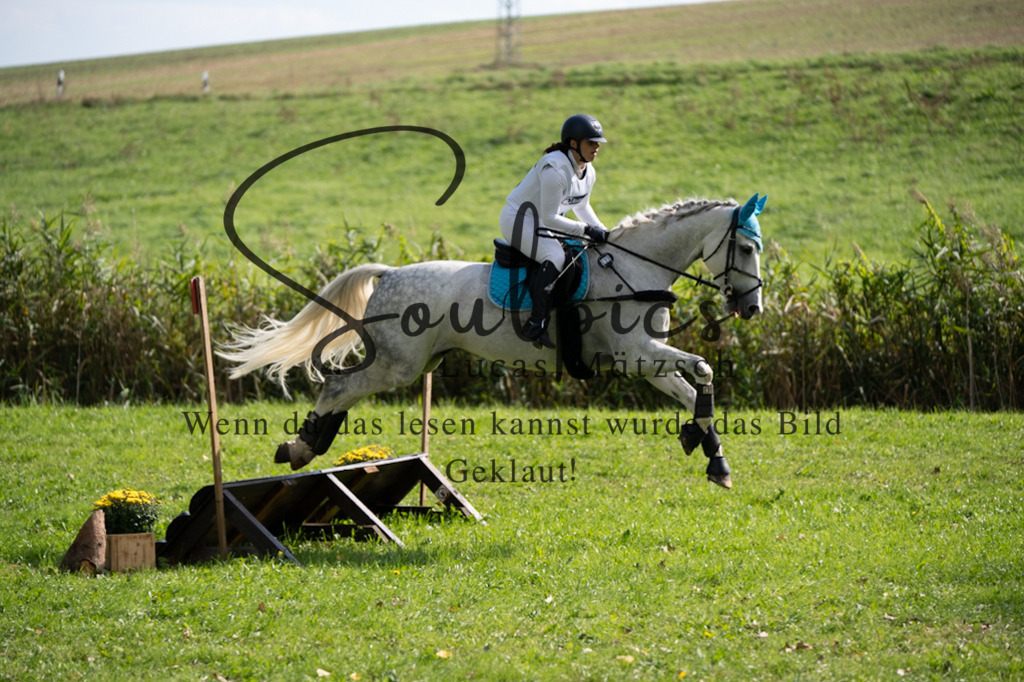 A7V03501 | Pferdefotograf