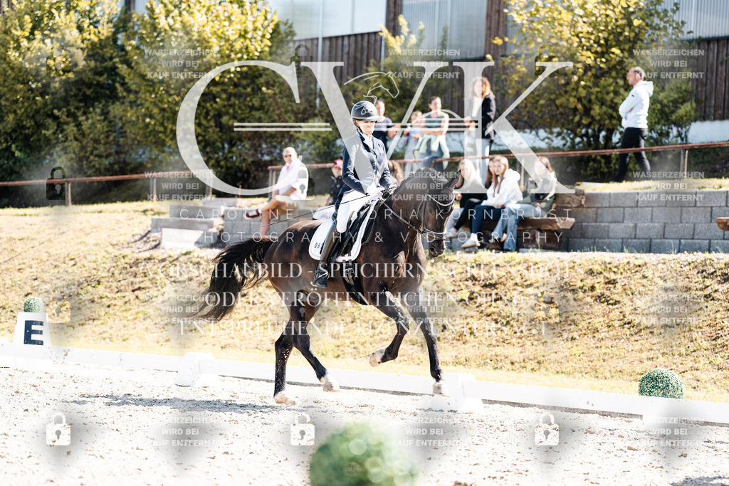 CK903462 | Turnierfotografie Pferdefotografie Trier Rheinland-Pfalz Pferdesport Reitsport Tierfotografie Sportfotografie Pferdevideo Pferdevideografie Equestrianvideography equestrianphotography  - Realisiert mit Pictrs.com