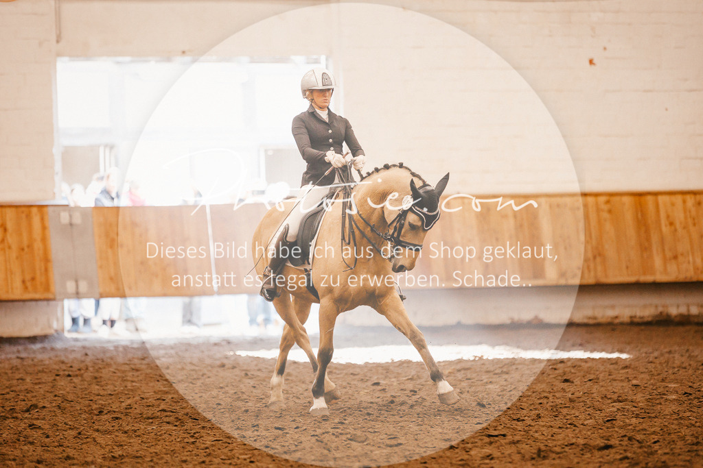 3I6A2304 | Stimmungsvolle Portraits und Reitsportfotografie im Ruhrgebiet und im Münsterland.

Pferdefotografie, Hundefotografie, Tierfotografie, Reportagen, Portraits von Tier und Mensch, Turnierfotografie in Bochum, Recklinghausen, Marl, Haltern am See, Dülmen.. - Realisiert mit Pictrs.com