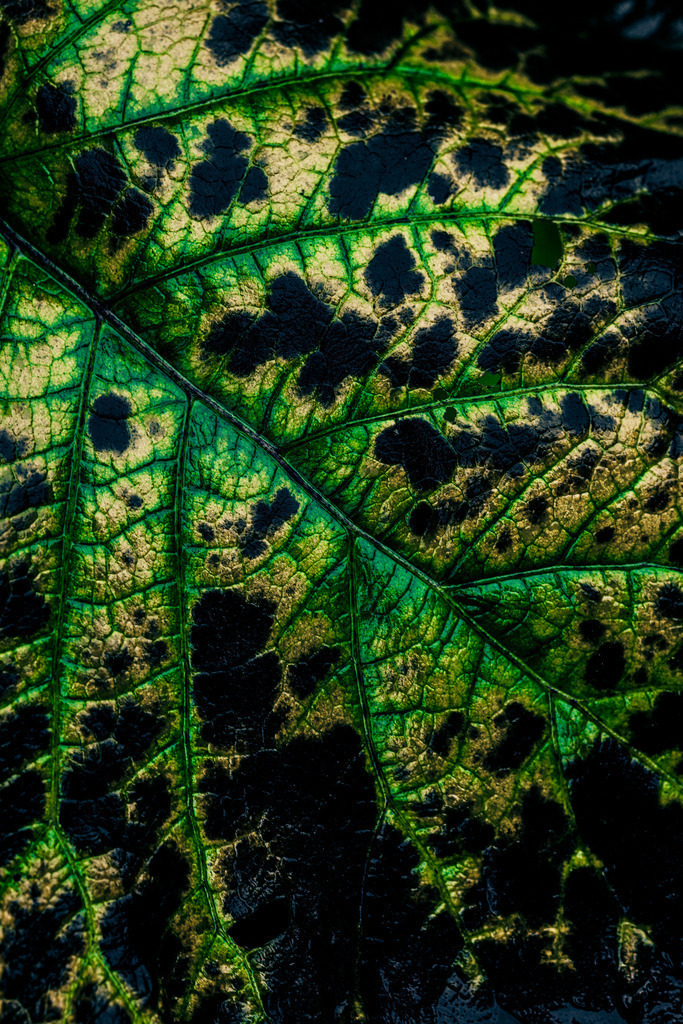 _T2A8435 | ap-design // andreas plenk - Realisiert mit Pictrs.com