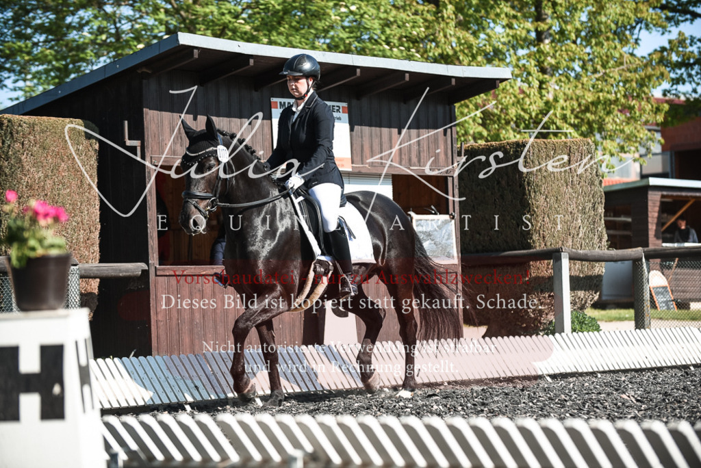 DSC_8626 | Pferde- und Turnierfotografie in Westsachsen. Pferdeportraits, Auftragszeichnungen und intuitive Kunst.