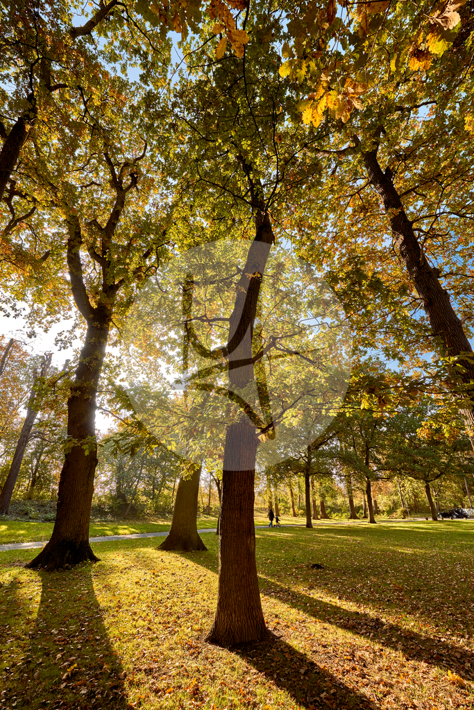 Parkanlagen im Herbst in Wolfenbüttel | Meurer Shop - Realisiert mit Pictrs.com
