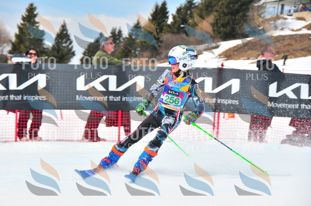 DSC_2378 | holidayphoto